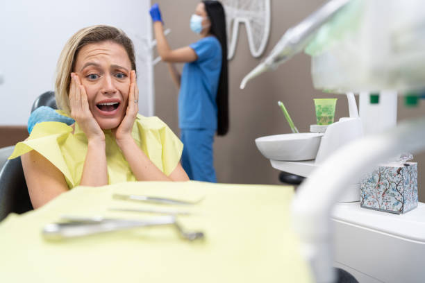 Best Emergency Root Canal Therapy in Bunker Hl, IL